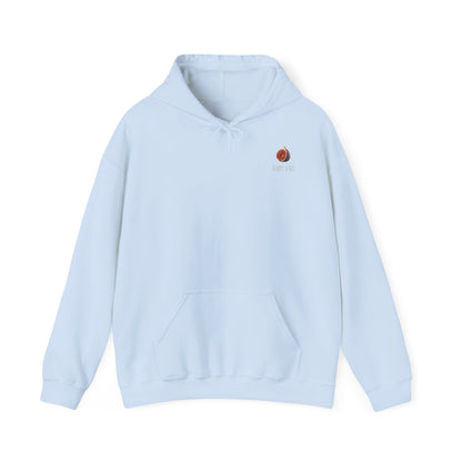 Copy of Unisex Heavy Blend™ Hooded Sweatshirt
