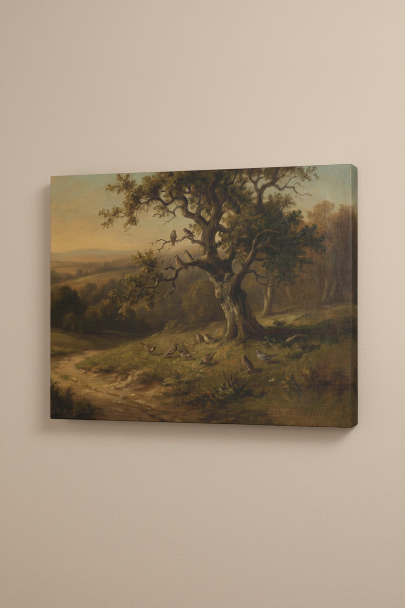Mattheüs 6 – Kijk naar de Vogels
